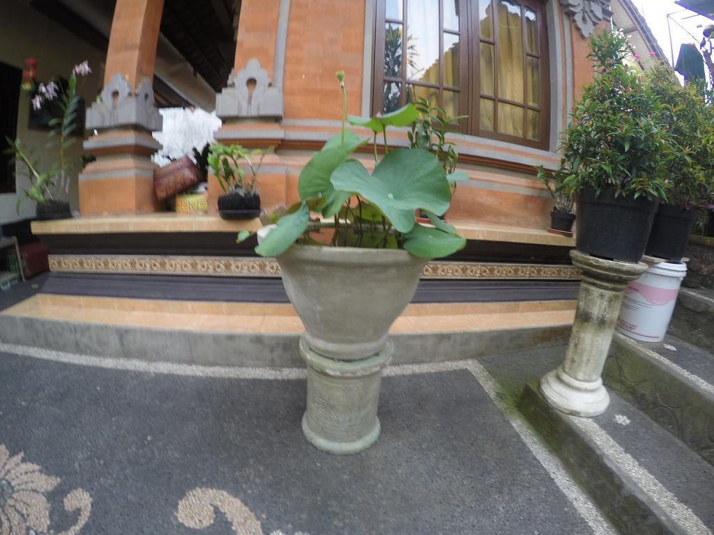 Pancer House Hotel Ubud  Ngoại thất bức ảnh